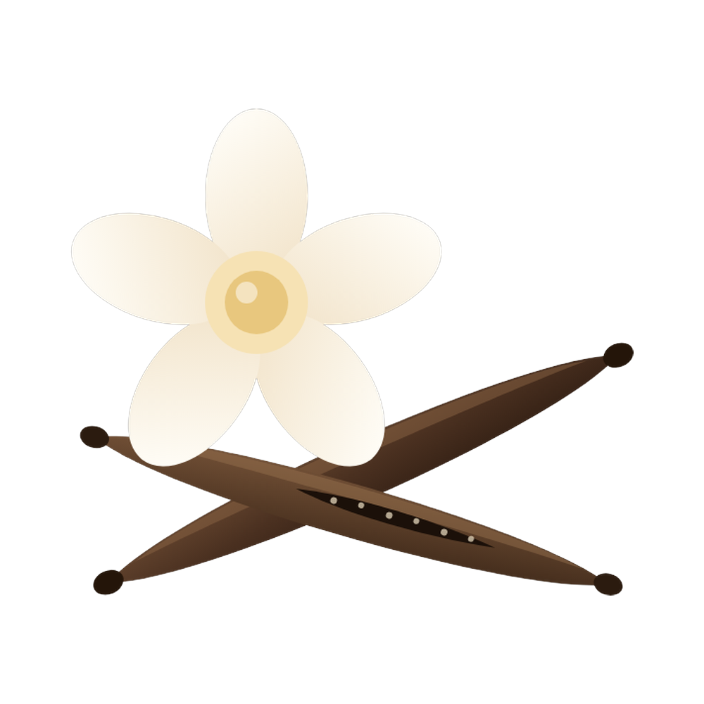 #swatch_opt1_v1#Swatch_Creamy Vanilla